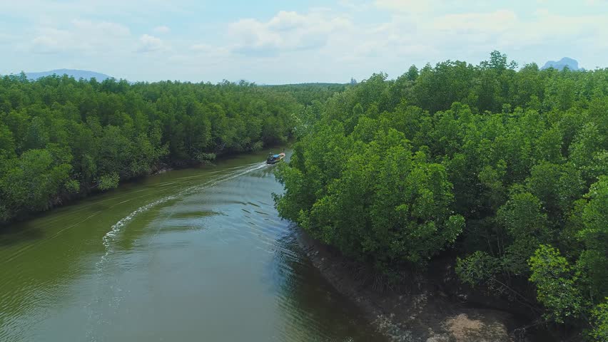 small fishing boat Sailing along the river and mangrove forest to reach the sea. Southern part of Thailand