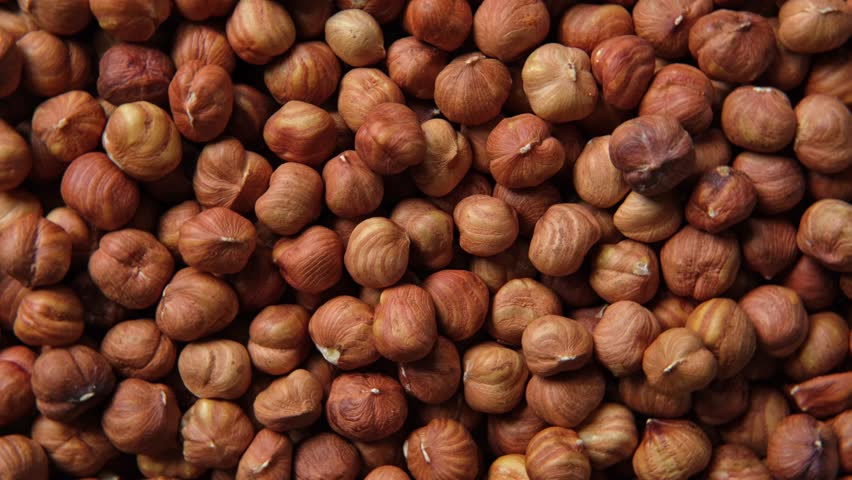 Hazelnuts harvest. Filbert video wallpaper. Full frame of hazel. Cobnut background. Peeled brown nut kernels. Healthy organic bio products. Vegetarian, vegan and raw food. Back to nature. Healthy fat Royalty-Free Stock Footage #1108118399