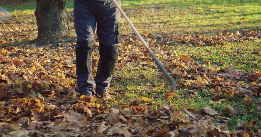 Caucasian janitor in working uniform and gloves raking dry fall foliage at city park. Autumn garden works. Close up. 