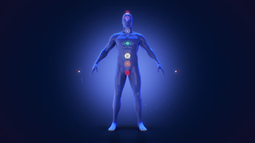 A stylised 3D human figure showing the various Chakra points.
