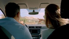 Happy couple driving a car and admiring the landscape, Alicante, Spain - stock video