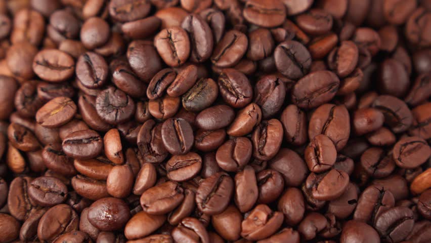 Many coffee beans vibrate during sorting, close-up, shallow depth of field.