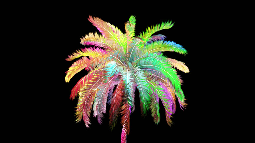 Isolated fluorescent colorful 3d palm tree rotating on transparent alpha channel background in a seamless loop. Perfect for summer scenes. - Powered by Shutterstock - Get 15% off with code: PIKWIZARD15