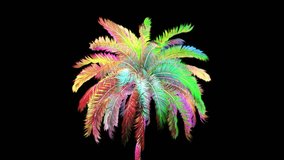 Isolated fluorescent colorful 3d palm tree rotating on transparent alpha channel background in a seamless loop. Perfect for summer scenes. - Powered by Shutterstock - Get 15% off with code: PIKWIZARD15