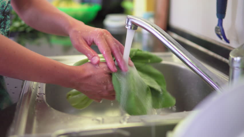 Woman hands are washing fresh green bok choy (pak choy) in a kitchen. This type of Chinese cabbage is a popular leaf vegetable. Vegetarian healthy food. Product of organic farming. Royalty-Free Stock Footage #1108212333