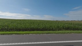 roadside view, road and landscape, forest and field, view from the car window
