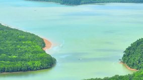 A breathtaking drone view captures the serene beauty of mangrove and beach forests, where lush green canopies meet sandy shores in a harmonious dance of nature. Thailand. 4K.
