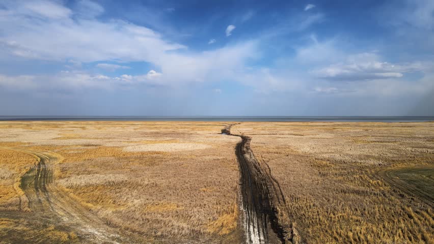 Aerial moving forward over a muddy road that cuts through an autumn-colored marsh with a lake in the distance. The deep blue sky has many white clouds.  
