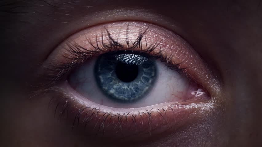 Artificial intelligence scans information. High technologies in the future. The future of digital vision technologies, security and biometrics. Implant in the human eye. Concept of hi tech. Royalty-Free Stock Footage #1108238743