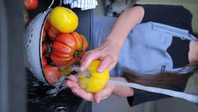 A housewife in gray apron washes homemade organic vegetables in the sink