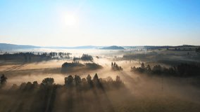 Drone captures dawn's serenity over a misty forest. Watch sun rays paint the landscape in gold. A tranquil and majestic start to the day from above.