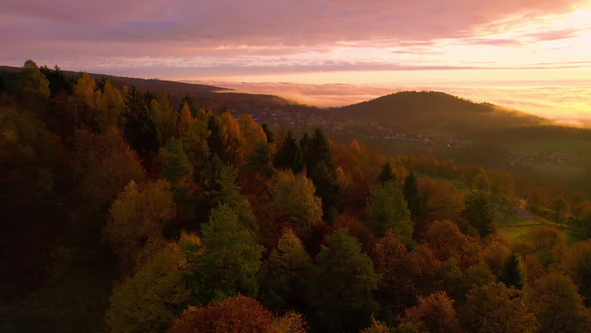 AERIAL Golden sunbeams peek over fog in the valley and illuminate autumn trees. Beautifully coloured forest glowing in golden sunlight on a hill above vale in an idyllic countryside setting at sunrise Royalty-Free Stock Footage #1108264037