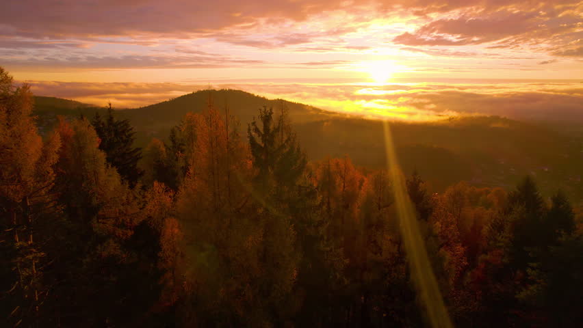 AERIAL, LENS FLARE: First rays of morning sun shine over colourful autumn forest. Vibrantly coloured treetops glowing in early light. Magnificent moment at start of the day in beautiful fall season. Royalty-Free Stock Footage #1108264041