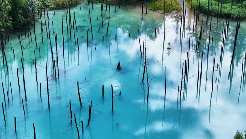 Shirogane Blue Pond.Famous tourist destinations in Hokkaido, Japan.Calm water surface and blue sky.Aerial video shot by drone.This footage was filmed with permission. Royalty-Free Stock Footage #1108267095