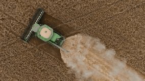 Combine harvester with straw chopper works in the wheat field. Harvesting Wheat in slow motion video, top view of a wheatfield. Dust plume behind the combine. Modern agriculture, harvesting of crops