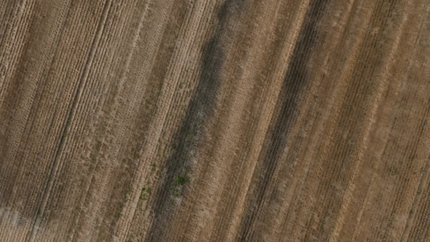 Disking the field. Big red Tractor cultivating land of Disc Harrow. Tractor at a disking of ground Close up. Agriculture. Aerial view of tractor plowing the field. Slow motion video