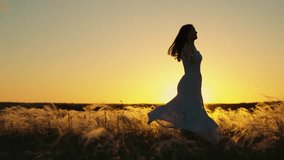 Happy young woman joyfully dances spinning with her arms outstretched at sunset. Concept of womens dreams success travel, flight. Beautiful girl, holding her hands to sides, dances on field under sun - Powered by Shutterstock - Get 15% off with code: PIKWIZARD15