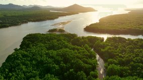 Explore Thailand mangrove forests through a captivating drone aerial view. Immerse in lush green canopies, intertwining roots. A blend of nature's beauty and ecological significance.
