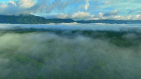 Captured from above, the foggy embrace of dawn transforms the tropical forest and plantation area into a scene of enchantment, a reminder of the beauty and wonder that the natural world can offer.
