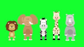 2D cartoon lion, elephant, zebra, giraffe, hippo dancing on isolated green background cartoon style HD resolution chroma key.