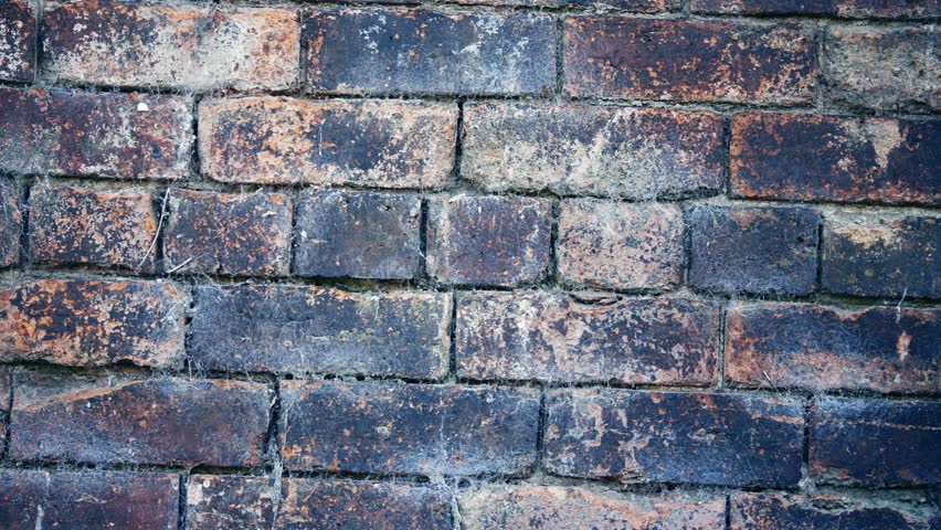 Old damaged grunge brick wall medium panning 4k shot selective focus  | Shutterstock HD Video #1108293571