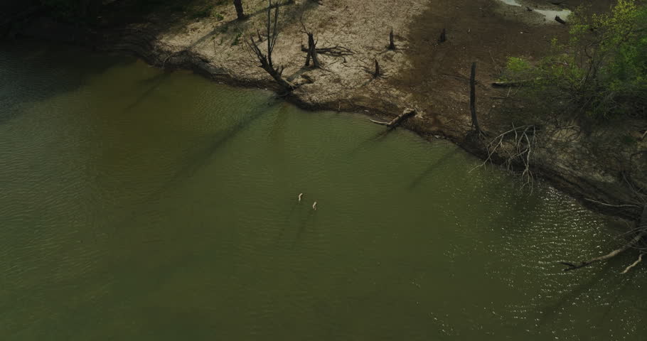 Creek And Rainforest Over White River In Twin City Riverfront Park In Arkansas, De Valls Bluff, United States. Aerial Tilt-up