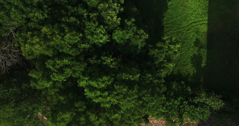 Top View Of An Old Railroad Bridge Over White River In Twin City Riverfront Park, Arkansas, USA. Aerial Shot