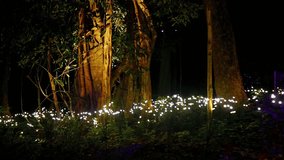 Bioluminescent plants swaying and glowing in the dark night in dreamy mesmerizing mysterious avatar-like illuminated mythical otherworldly fairy forest world landscape of Dream Forest Langkawi. - Powered by Shutterstock - Get 15% off with code: PIKWIZARD15