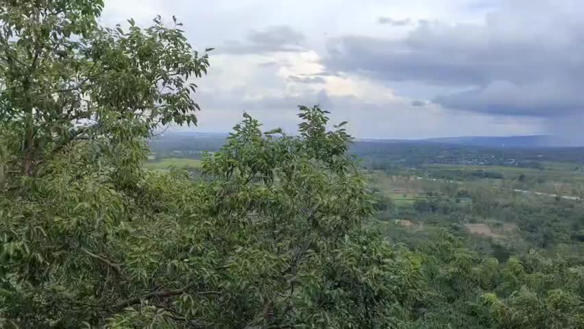 Looking down from the mountain, you can see the breathtaking forest landscape below