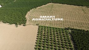 agriculture smart farming technology - industry 4.0.Concept Harvesting and Planting with Technology and smart farming.  - Powered by Shutterstock - Get 15% off with code: PIKWIZARD15