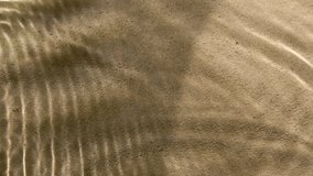Close-up water surface ripples and splash, palm tree leaf shadow on sand texture - Powered by Shutterstock - Get 15% off with code: PIKWIZARD15