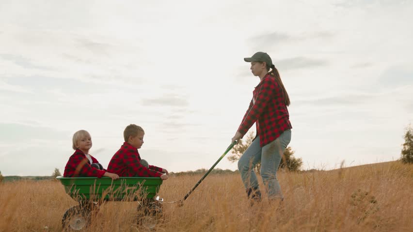 Mother pulls cart with cute little boys by handle walking along farm field with dry grass. Boys sit in trolley playing with smiling mother at farmland. Mother has fun with little boys in farm field