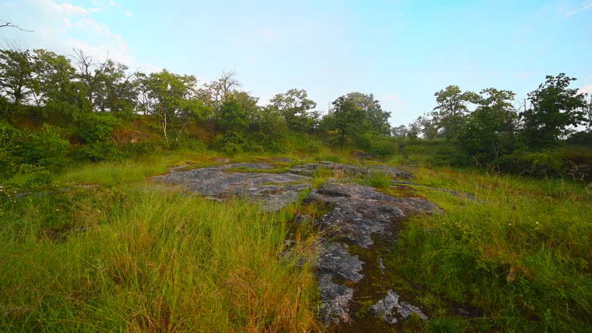 Camera pans from left to right showcasing a sunset over a marsh with ponds. Blue sky above, trees around, and large rocks on the ground.