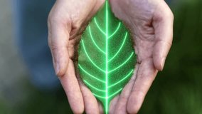 Agricultural technologies for growing plants and scientific research in the field of biology and chemistry of nature. Living green leaf with scientific data . Organic digital background - Powered by Shutterstock - Get 15% off with code: PIKWIZARD15