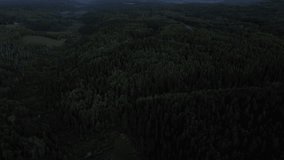 Aerial shot of the endless Canadian forest during sunset in summertime. - Powered by Shutterstock - Get 15% off with code: PIKWIZARD15