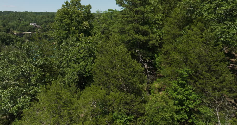 Aerial Reveal Of Hogscald Hollow And Bluff On Beaver Lake In Arkansas, USA. ascend