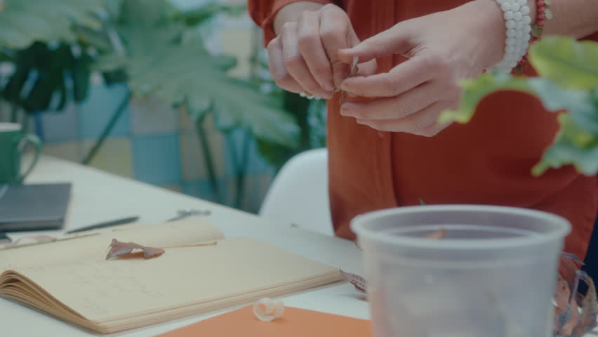 Woman attaching dried leaf to page with tape, then writing its name while making herbarium book at desk in indoor home garden. Close-up view, tilt-up shot Royalty-Free Stock Footage #1108345943