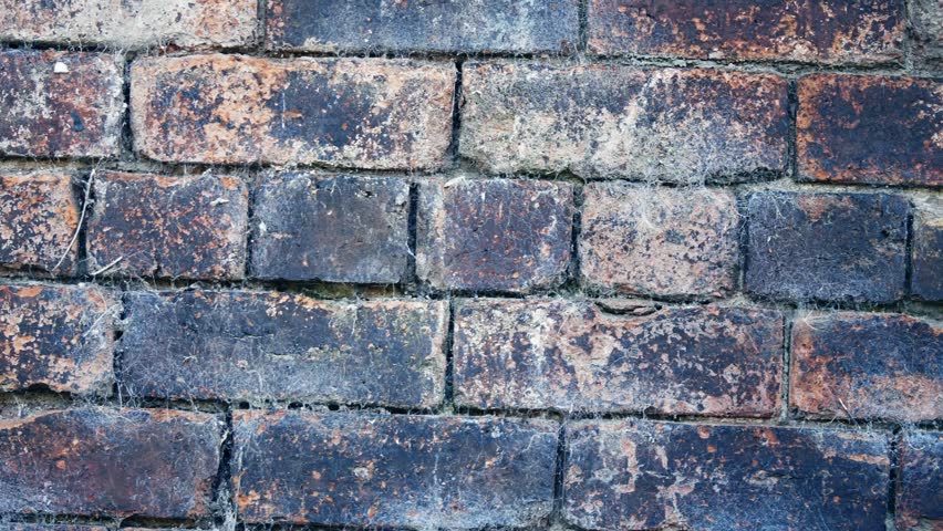 Old damaged grunge brick wall medium panning zoom shot selective focus  | Shutterstock HD Video #1108357009