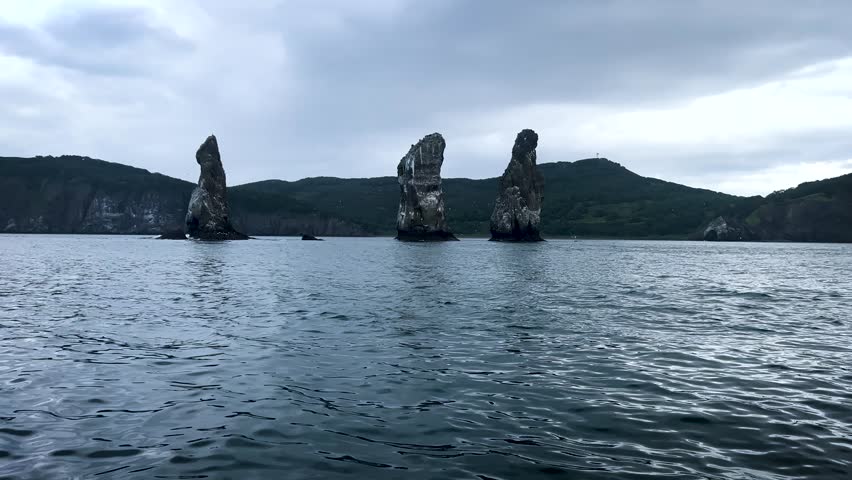 Pacific Ocean, boat trip, killer whales, whales, sea inhabitants