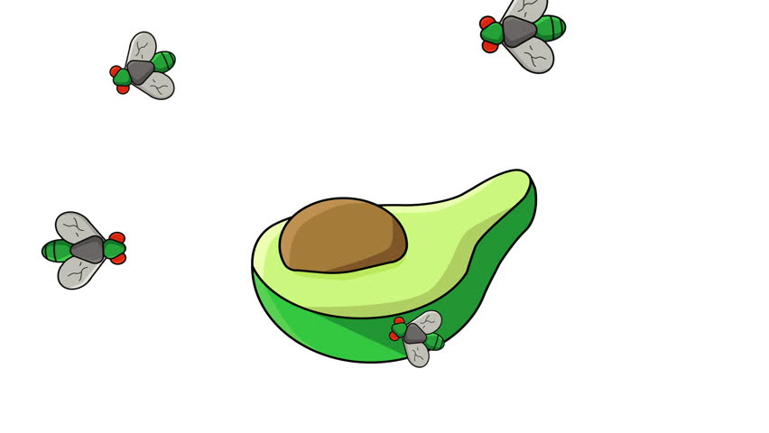 animation of an avocado surrounded by flies