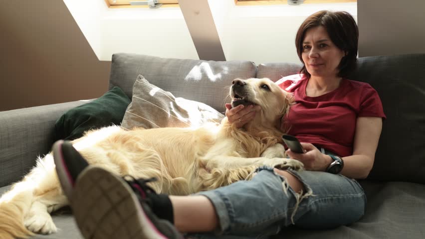 Pretty girl with golden retriever dog watching television at home. Young woman with purebred pet doggy chnages channel with tv remote control Royalty-Free Stock Footage #1108368471