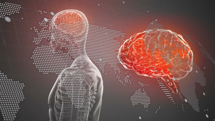 Animation of world map, data processing over human body model and brain spinning on blue background. Medical research and business data technology concept - Powered by Shutterstock - Get 15% off with code: PIKWIZARD15