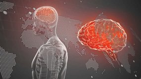Animation of world map, data processing over human body model and brain spinning on blue background. Medical research and business data technology concept - Powered by Shutterstock - Get 15% off with code: PIKWIZARD15