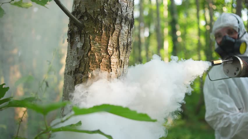 protection and treatment of trees from insects in the forest using a fumigator