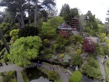 Video of the Japanese Gardens in SF.