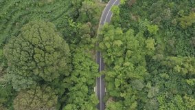 The drone view of green village in Purbalingga, Central Java, Indonesia. This aerial video was taken on September 7, 2023 by a professional. This video contains a beautiful village in tropical country