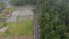 The drone view of green village in Purbalingga, Central Java, Indonesia. This aerial video was taken on September 7, 2023 by a professional. This video contains a beautiful village in tropical country