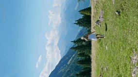 Vertical rear view of girl in white skirt walking on pasture in mountains of Austria during summer