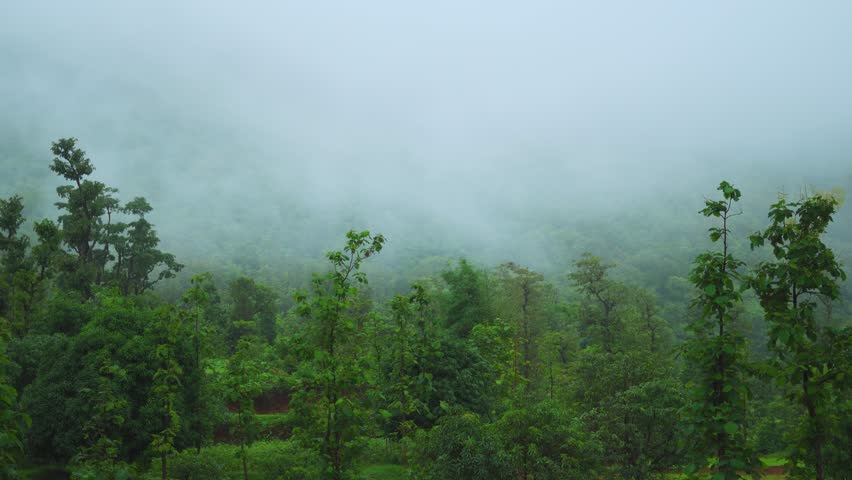 4K shot of clouds behind the lush green forest besides the hills of Sahyadri range at Saputara in Gujarat, India. Green trees in the hills at western ghats during the monsoon season in India. 