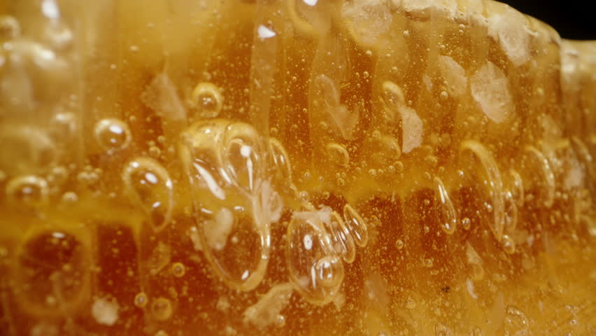 Honey with bubbles flowing down from natural beeswax combs, macro slider.